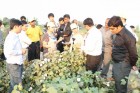 Our farms visit of cotton under Chinese Delegation - 2011