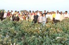 Memorable moments at farm